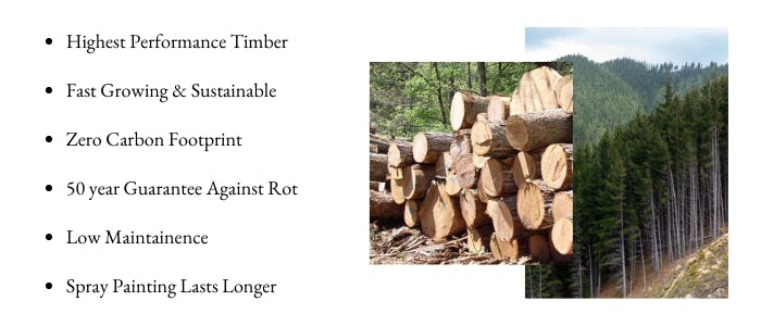 Wood choices for timber sash windows & doors