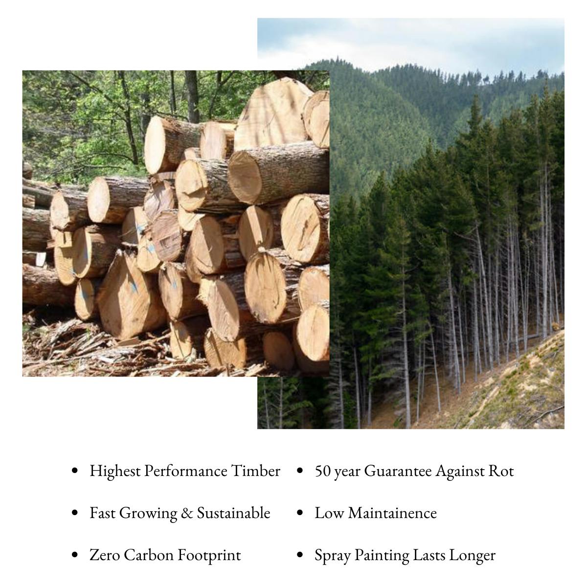 high performance timber and the benefits 